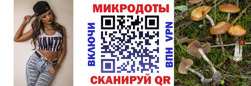 Псилоцибиновые грибы Psilocybine cubensis Боровск