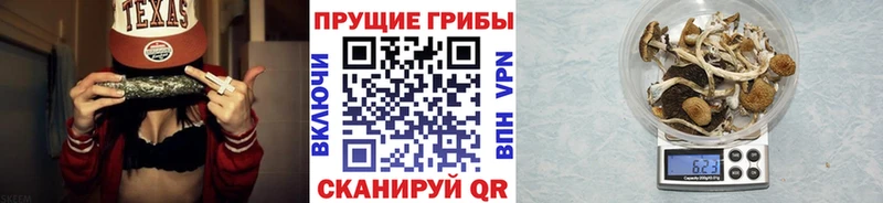 даркнет официальный сайт Боровск Галлюциногенные грибы прущие грибы наркошоп